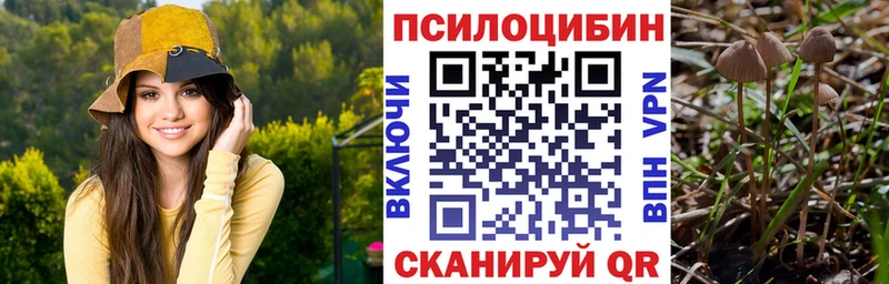 сайты даркнета состав  Орск  OMG ссылка  Галлюциногенные грибы Cubensis  закладка 